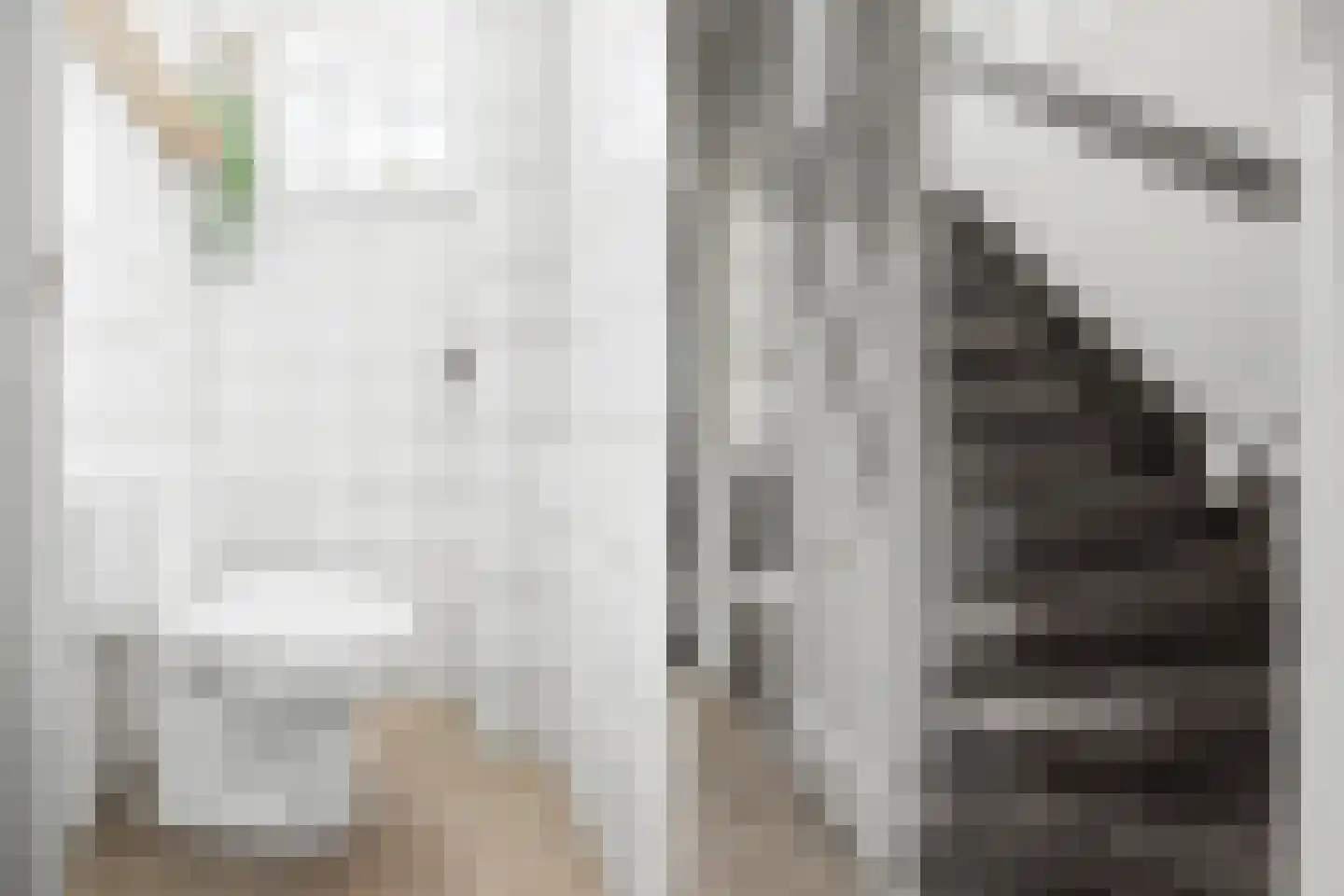 Plataanstraat 2 Sas van Gent thumbnail 22