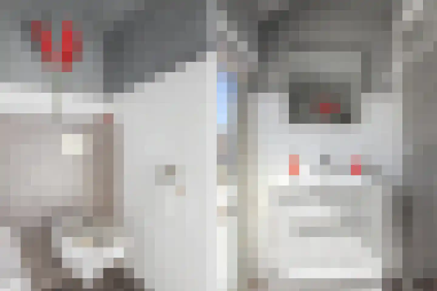 Plataanstraat 2 Sas van Gent thumbnail 30