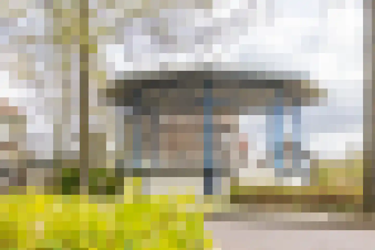 Plataanstraat 2 Sas van Gent thumbnail 38