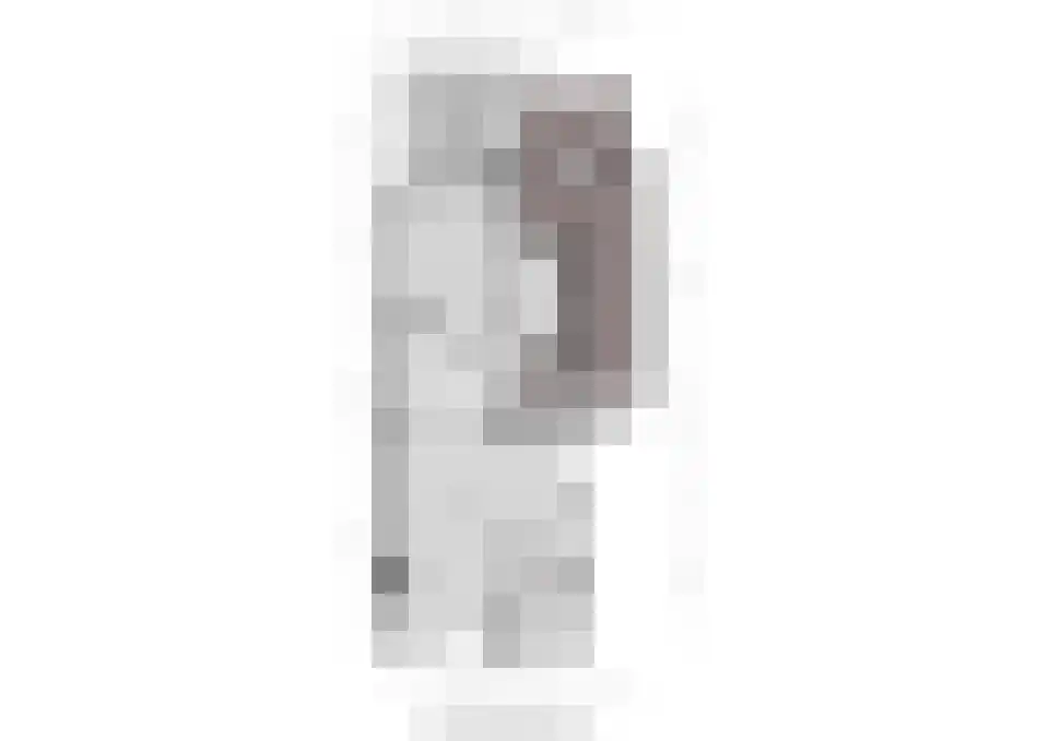 Plataanstraat 2 Sas van Gent thumbnail 39