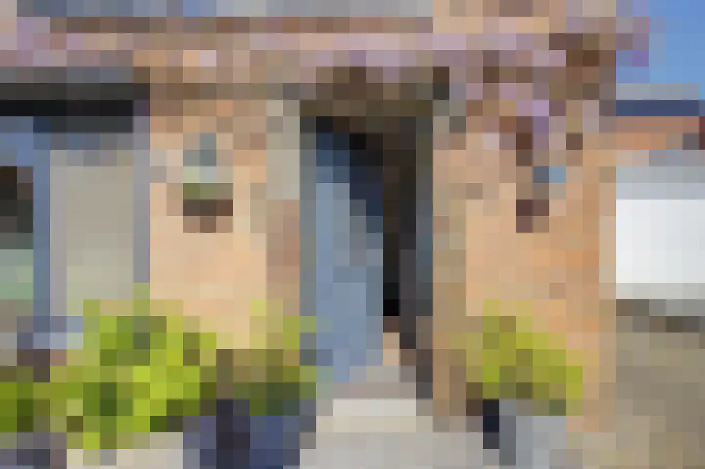 Plataanstraat 2 Sas van Gent thumbnail 4