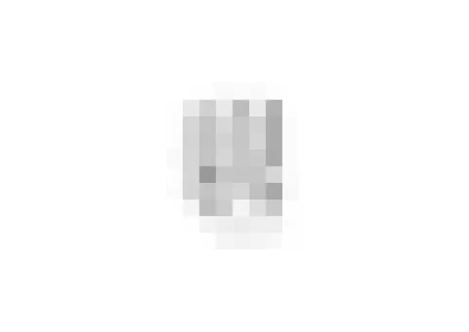 Plataanstraat 2 Sas van Gent thumbnail 40