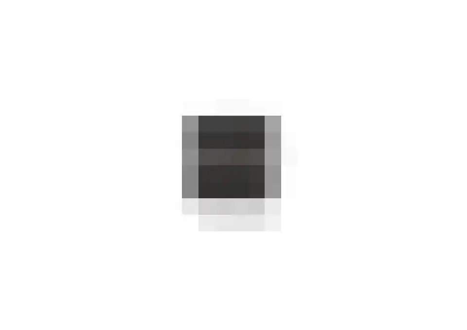 Plataanstraat 2 Sas van Gent thumbnail 41