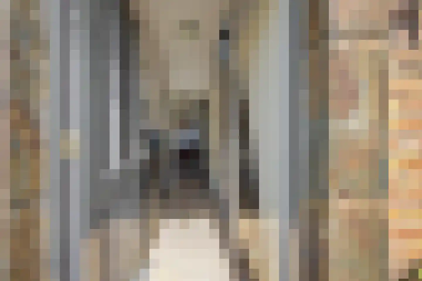 Plataanstraat 2 Sas van Gent thumbnail 5