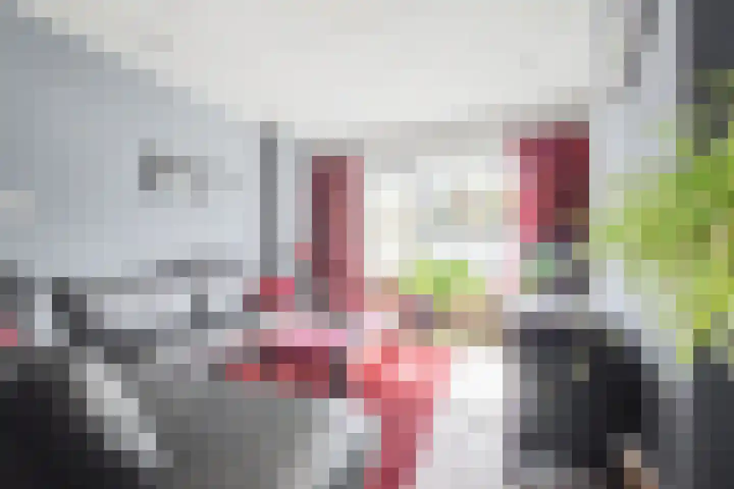 Plataanstraat 2 Sas van Gent thumbnail 7
