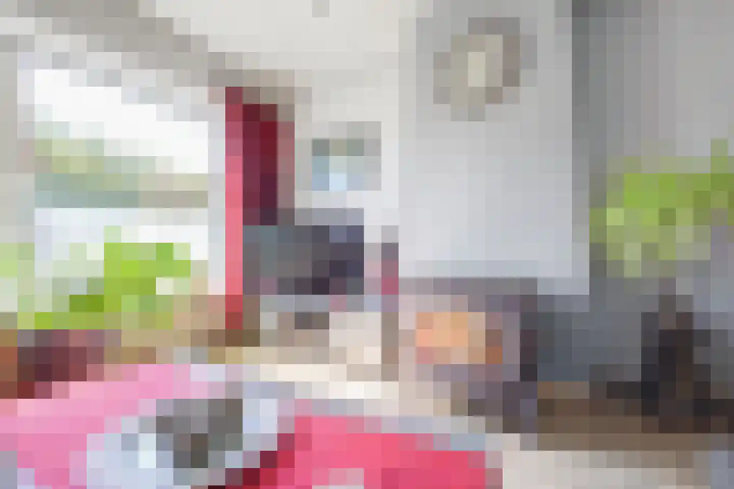 Plataanstraat 2 Sas van Gent thumbnail 8