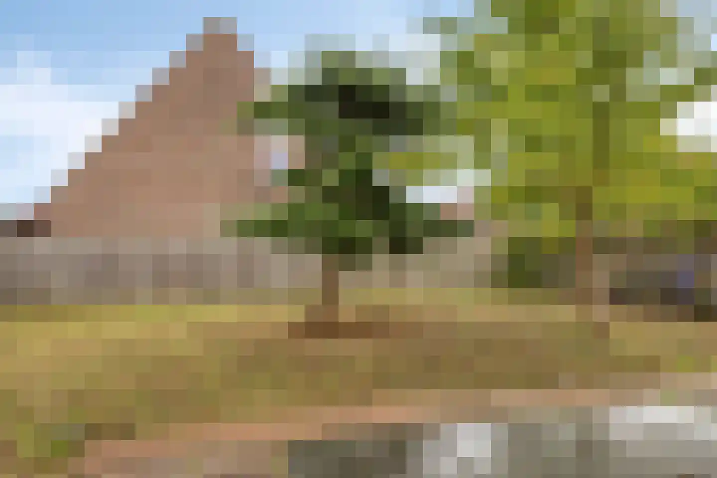 Plataanstraat 20 Sint Philipsland thumbnail 18