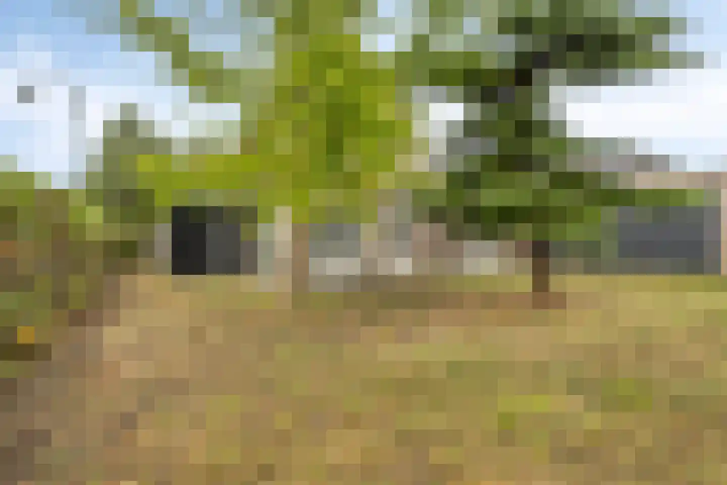 Plataanstraat 20 Sint Philipsland thumbnail 20