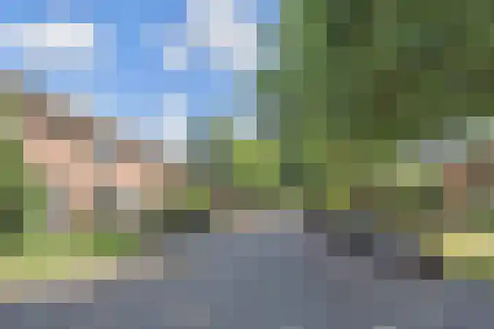 Plataanstraat 25 Gouda thumbnail 5