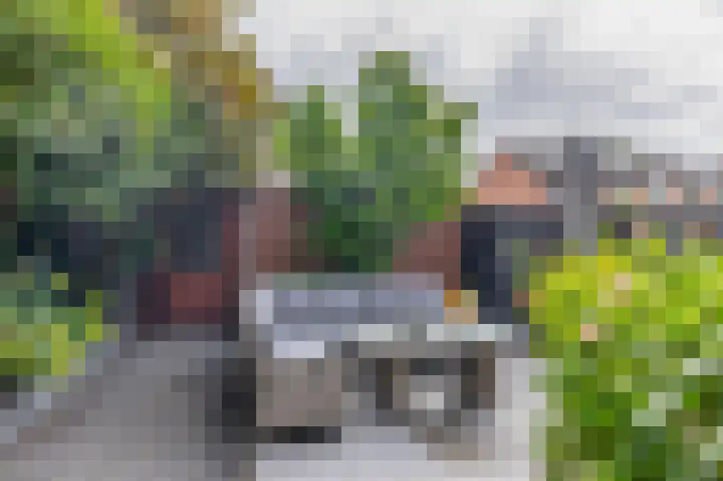 Plataanstraat 27 Gouda thumbnail 4