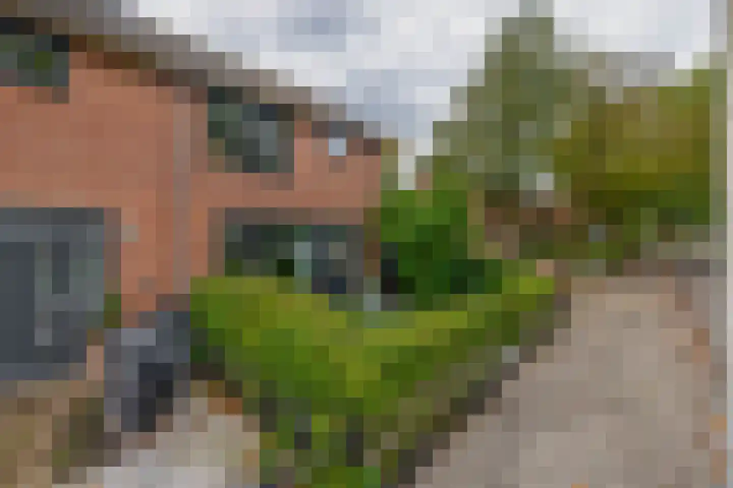 Plataanstraat 27 Gouda thumbnail 7