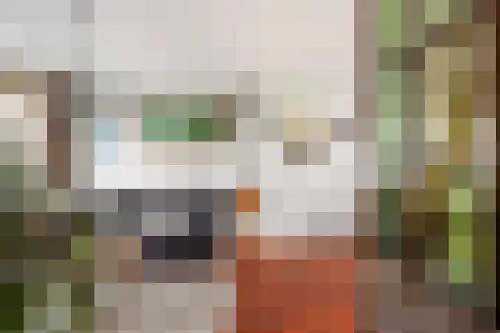 Plataanstraat 31 Numansdorp thumbnail 10