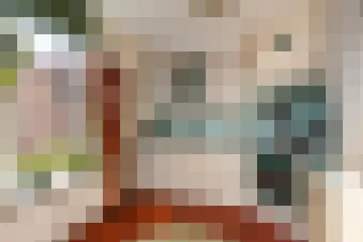 Plataanstraat 31 Numansdorp thumbnail 20