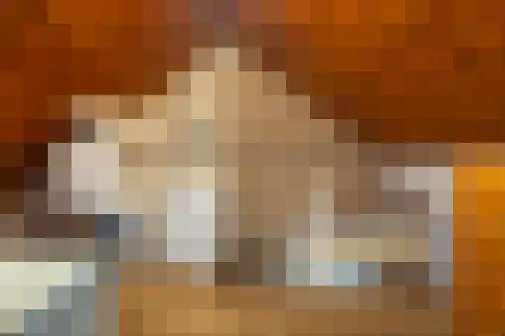 Plataanstraat 31 Numansdorp thumbnail 34