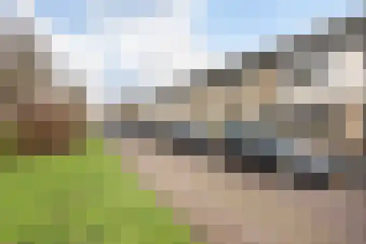 Plataanstraat 31 Numansdorp thumbnail 4