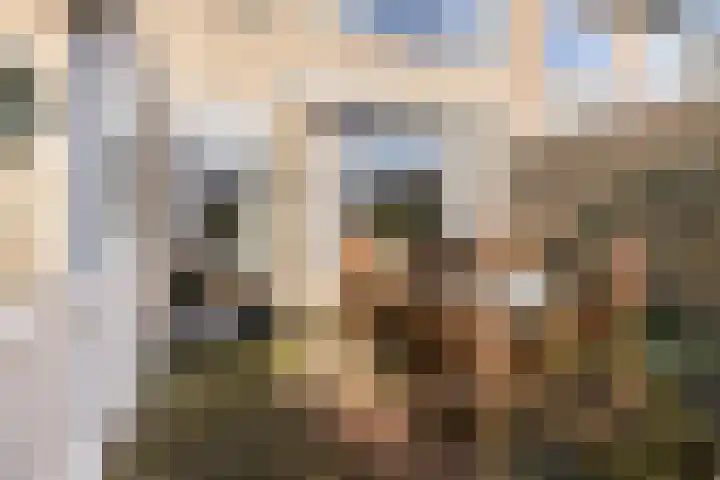 Plataanstraat 31 Numansdorp thumbnail 41