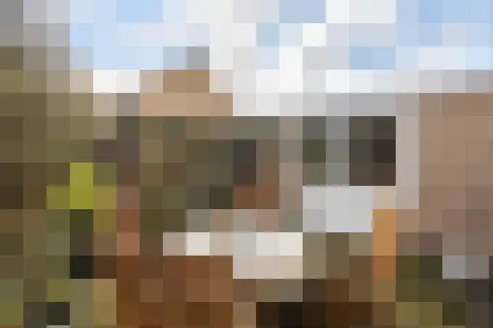 Plataanstraat 31 Numansdorp thumbnail 42