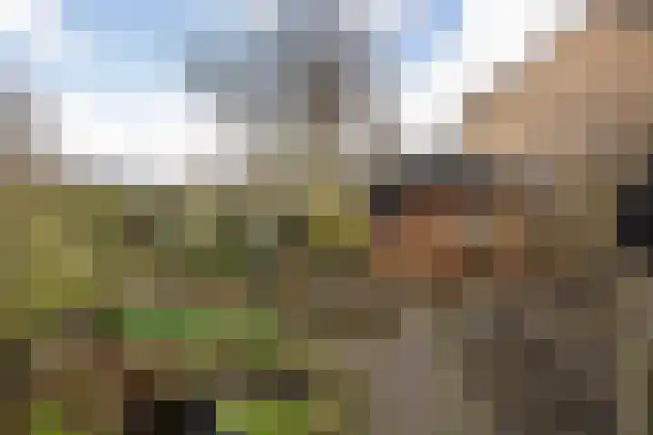 Plataanstraat 31 Numansdorp thumbnail 44