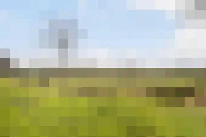 Plataanstraat 31 Numansdorp thumbnail 47