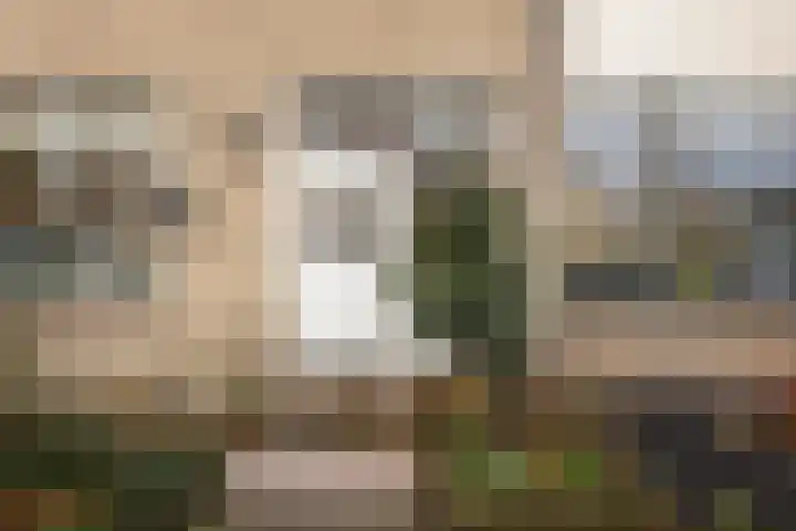 Plataanstraat 31 Numansdorp thumbnail 6
