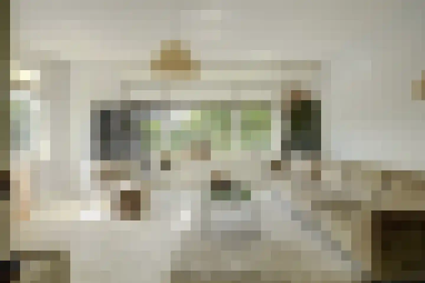 Plataanstraat 34 Sint Philipsland thumbnail 10