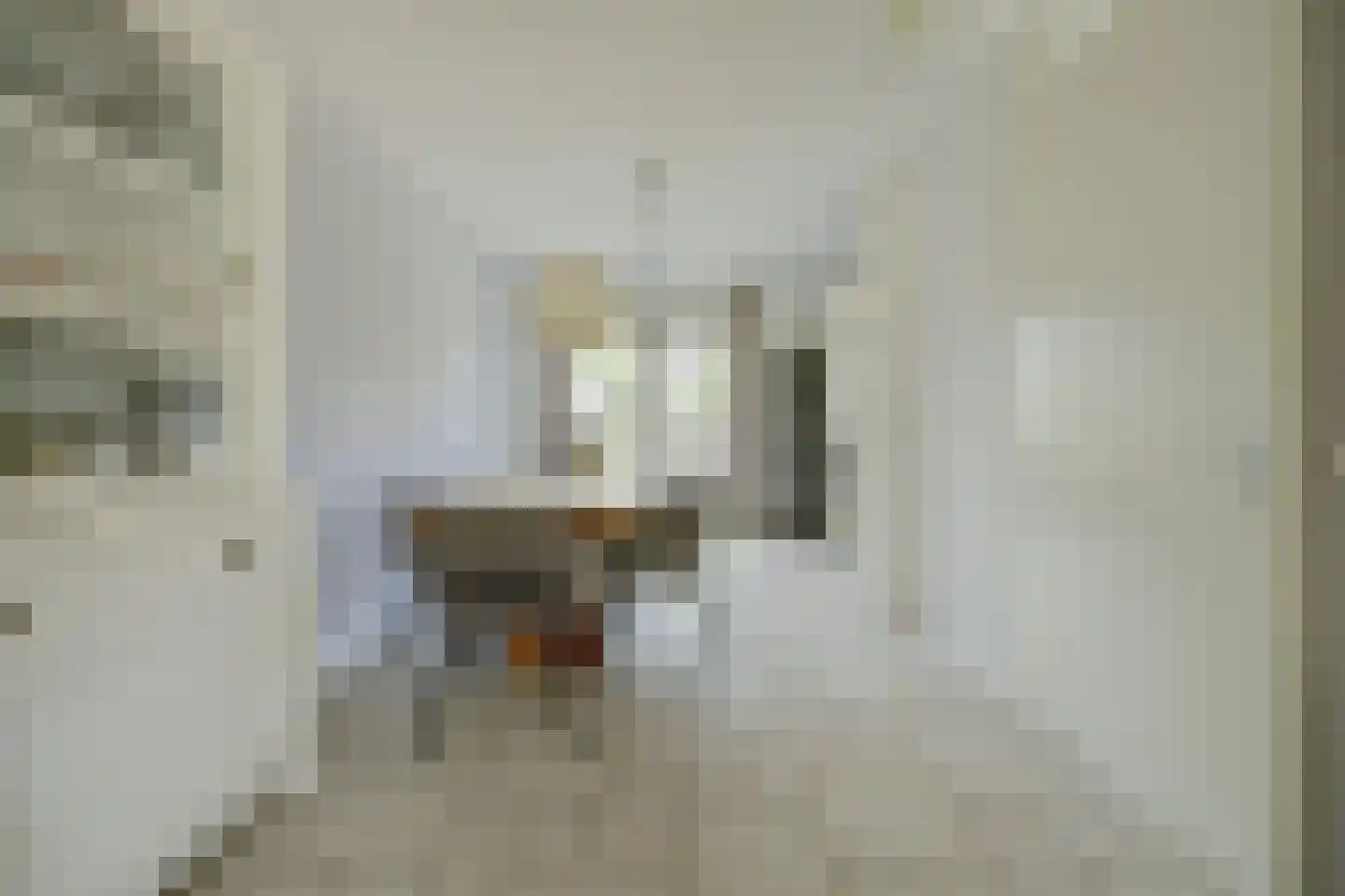 Plataanstraat 34 Sint Philipsland thumbnail 12