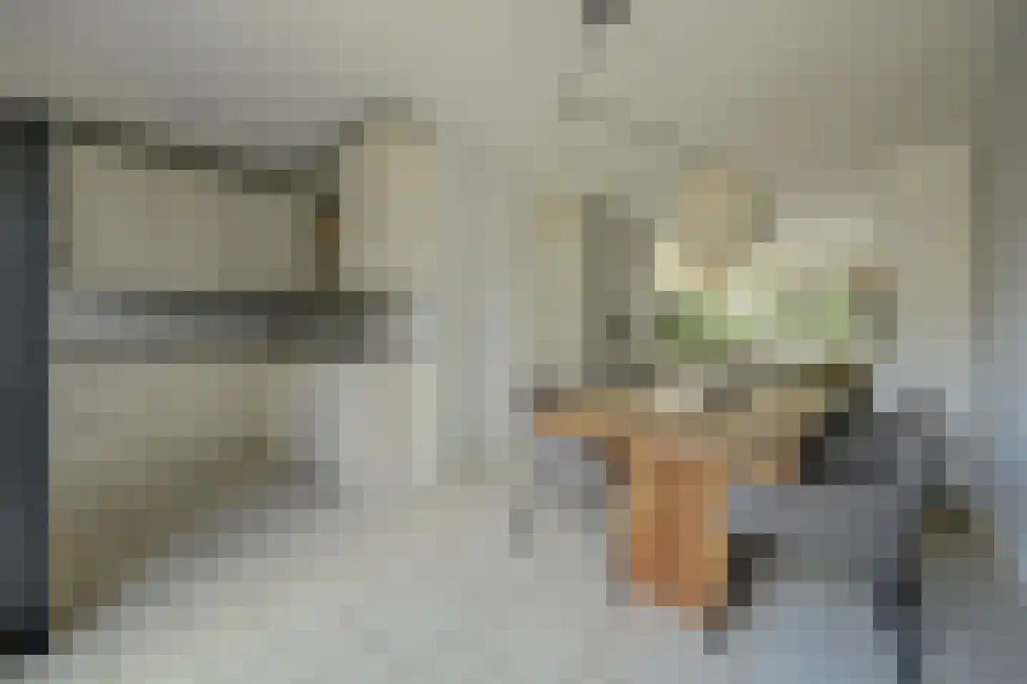 Plataanstraat 34 Sint Philipsland thumbnail 13