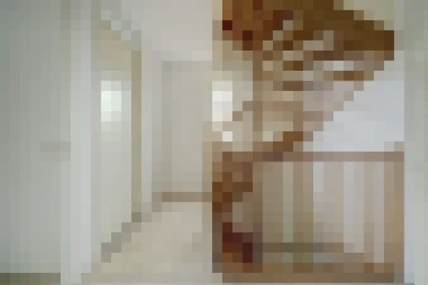 Plataanstraat 34 Sint Philipsland thumbnail 19