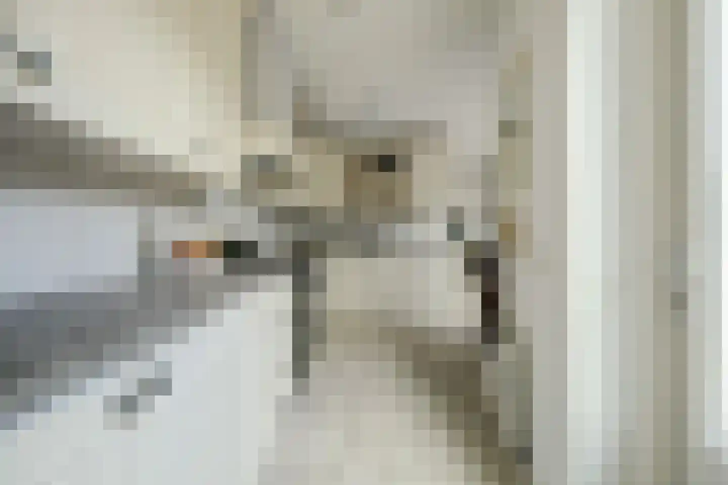 Plataanstraat 34 Sint Philipsland thumbnail 4