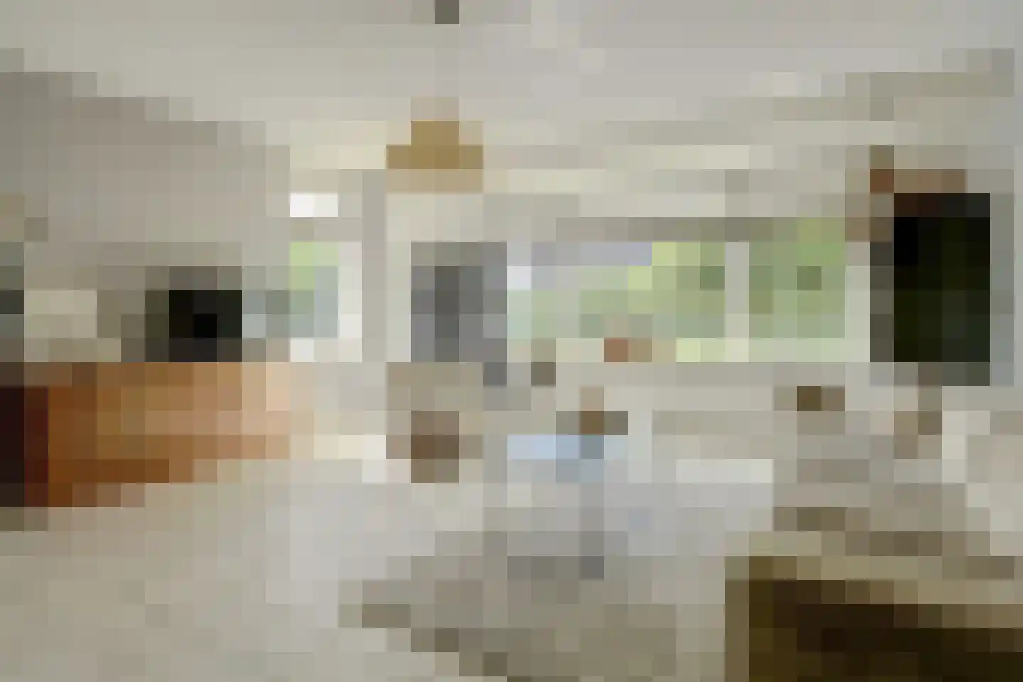 Plataanstraat 34 Sint Philipsland thumbnail 9