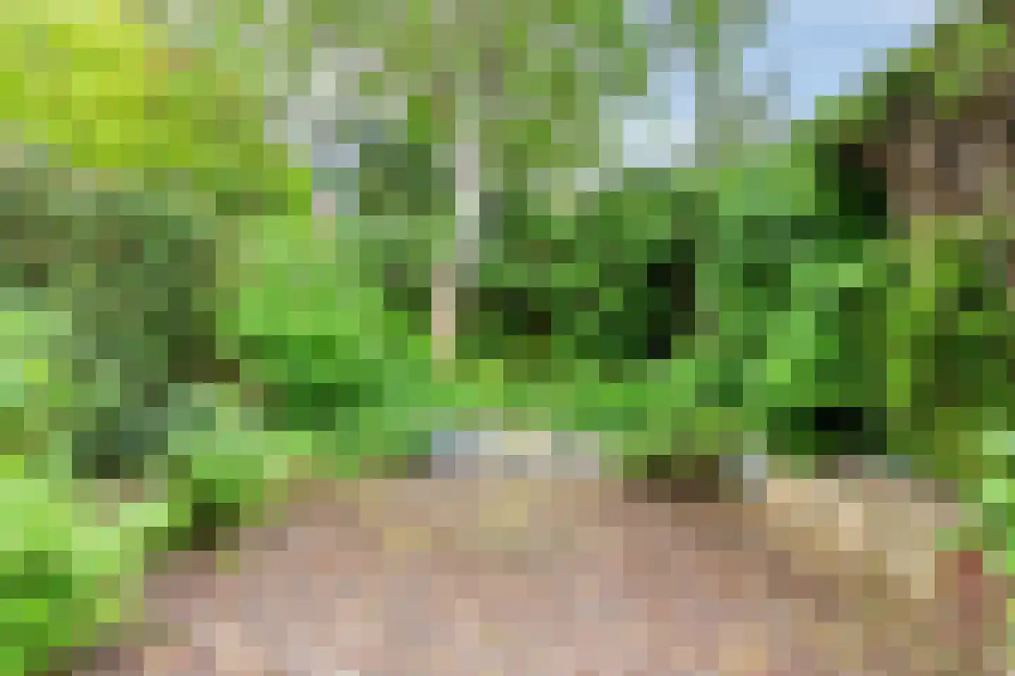 Plataanstraat 35 Beek thumbnail 13