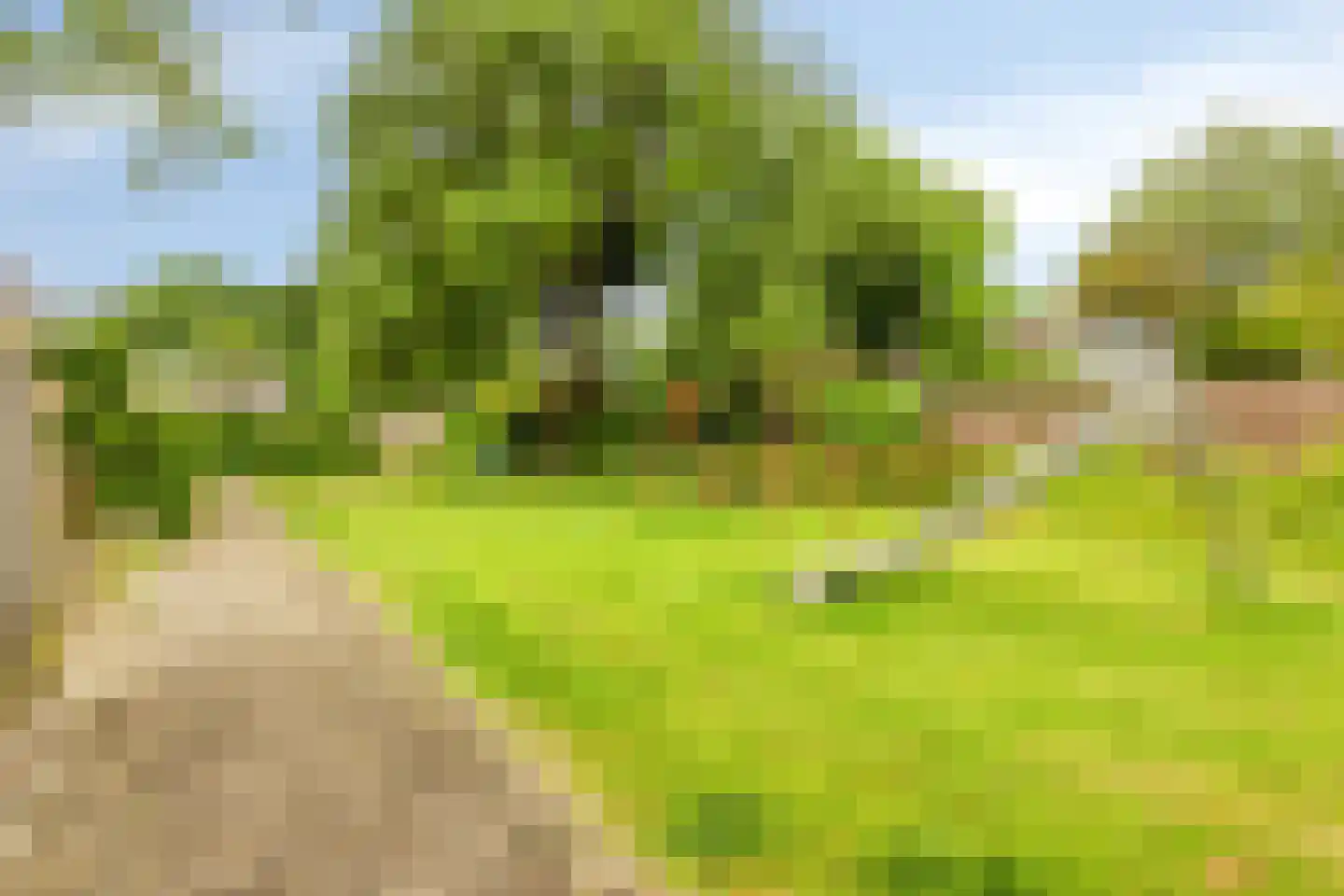 Plataanstraat 35 Beek thumbnail 29