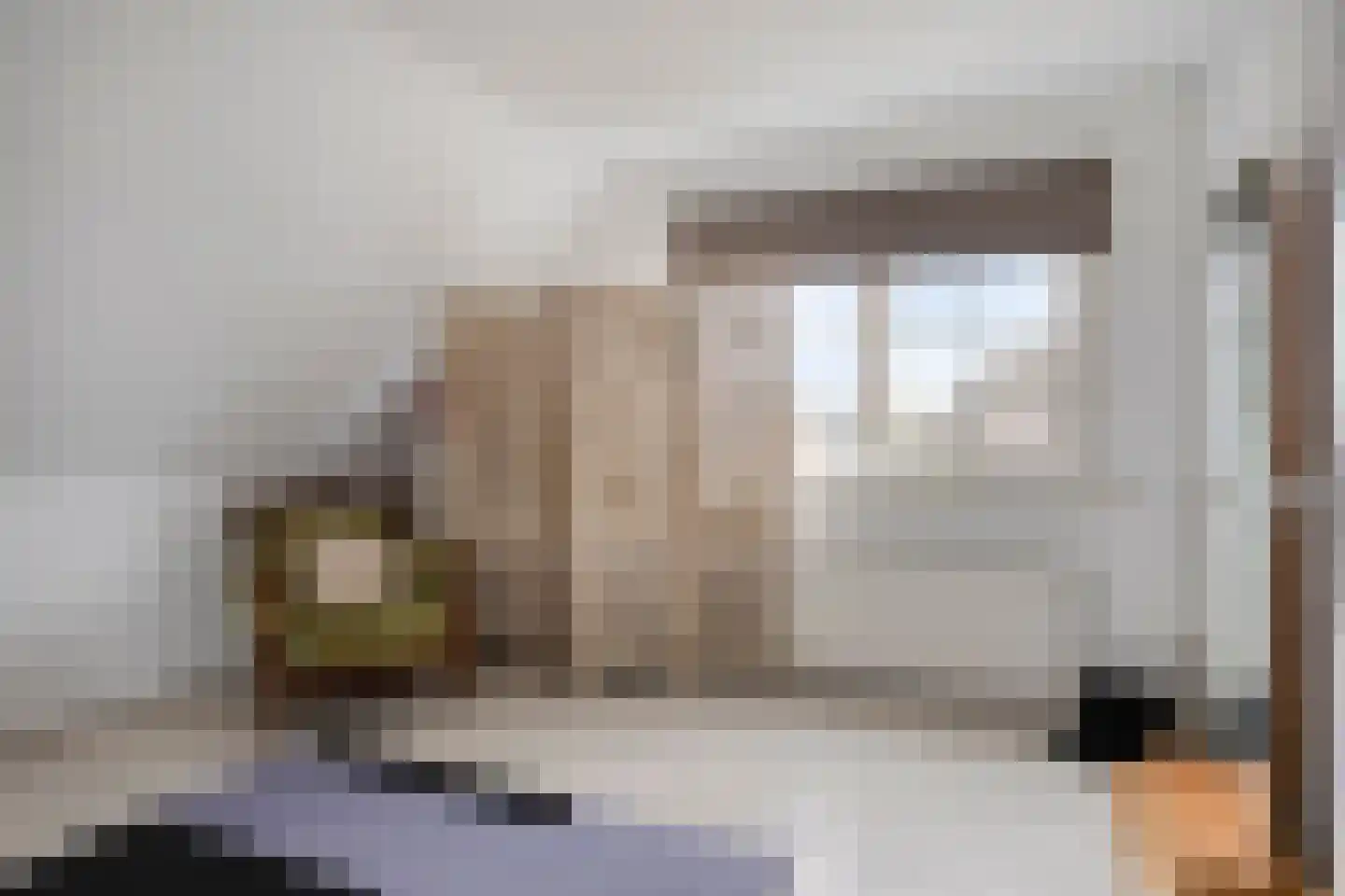 Plataanstraat 39 Sint Philipsland thumbnail 27