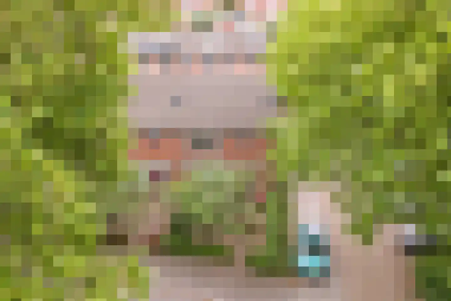 Plataanstraat 43 Gouda thumbnail 37