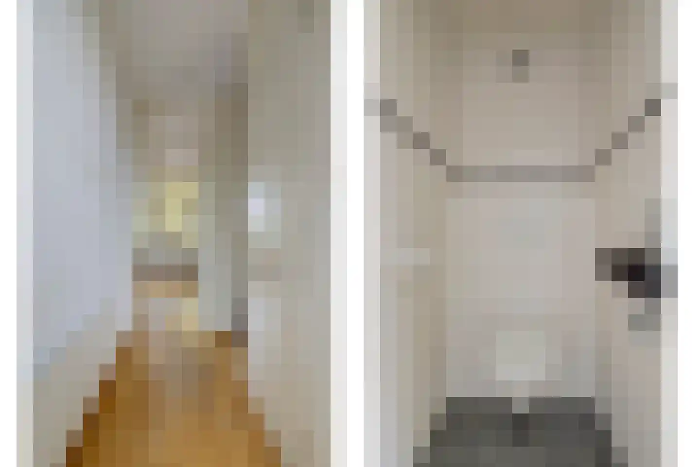 Plataanstraat 43 Gouda thumbnail 8
