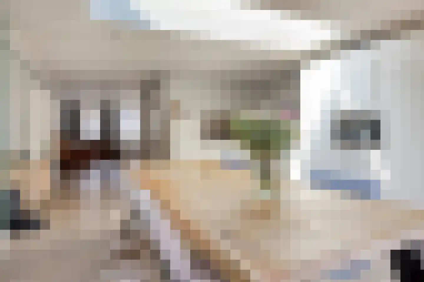 Plataanstraat 46 Made thumbnail 4