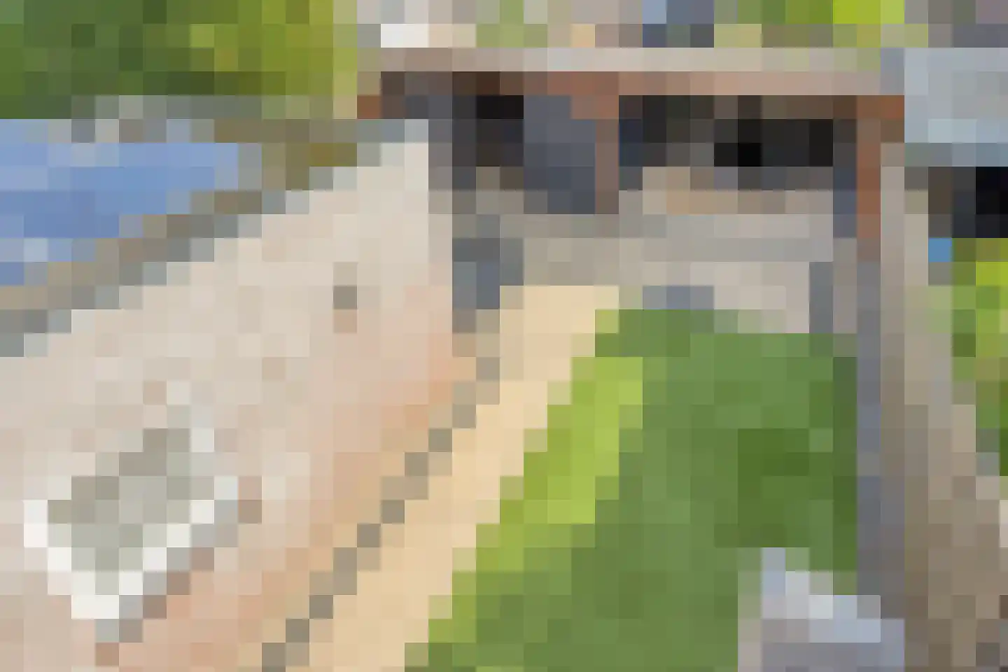 Plataanstraat 46 Made thumbnail 46