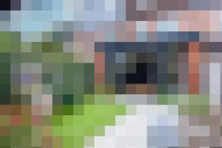 Plataanstraat 48 Haarlem thumbnail 5