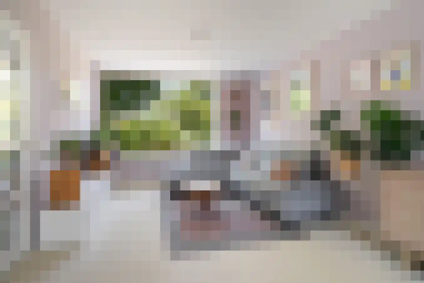 Plataanstraat 51 Gouda thumbnail 14