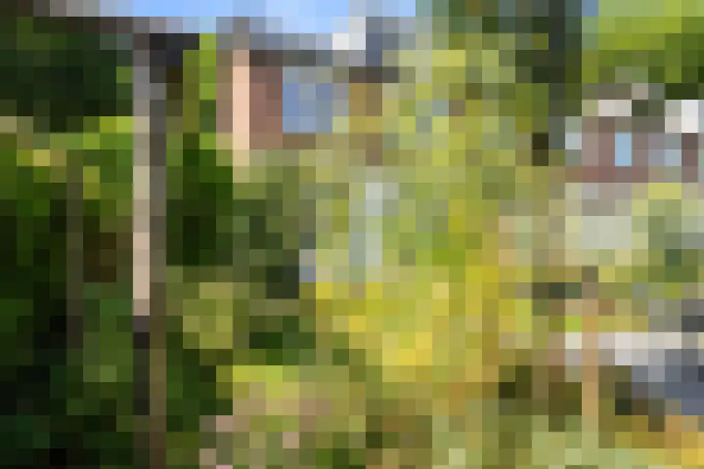Plataanstraat 51 Gouda thumbnail 33