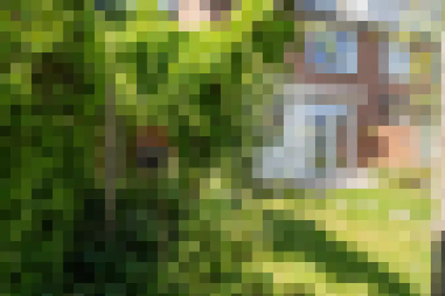 Plataanstraat 51 Gouda thumbnail 36