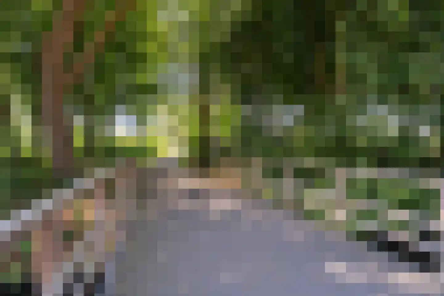 Plataanstraat 51 Gouda thumbnail 66