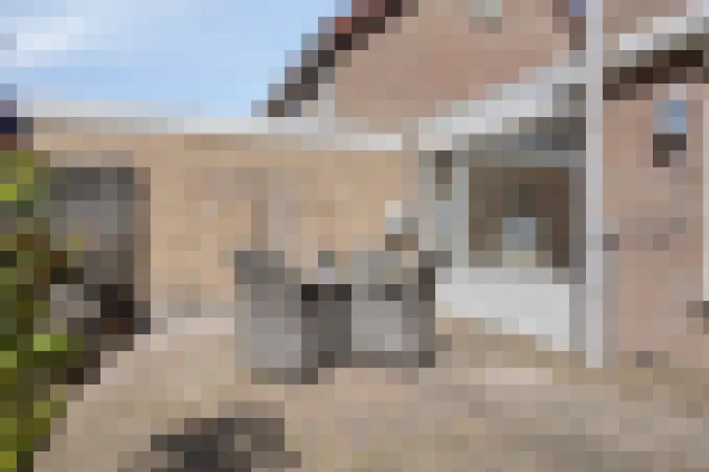 Plataanstraat 6 Hengelo thumbnail 30