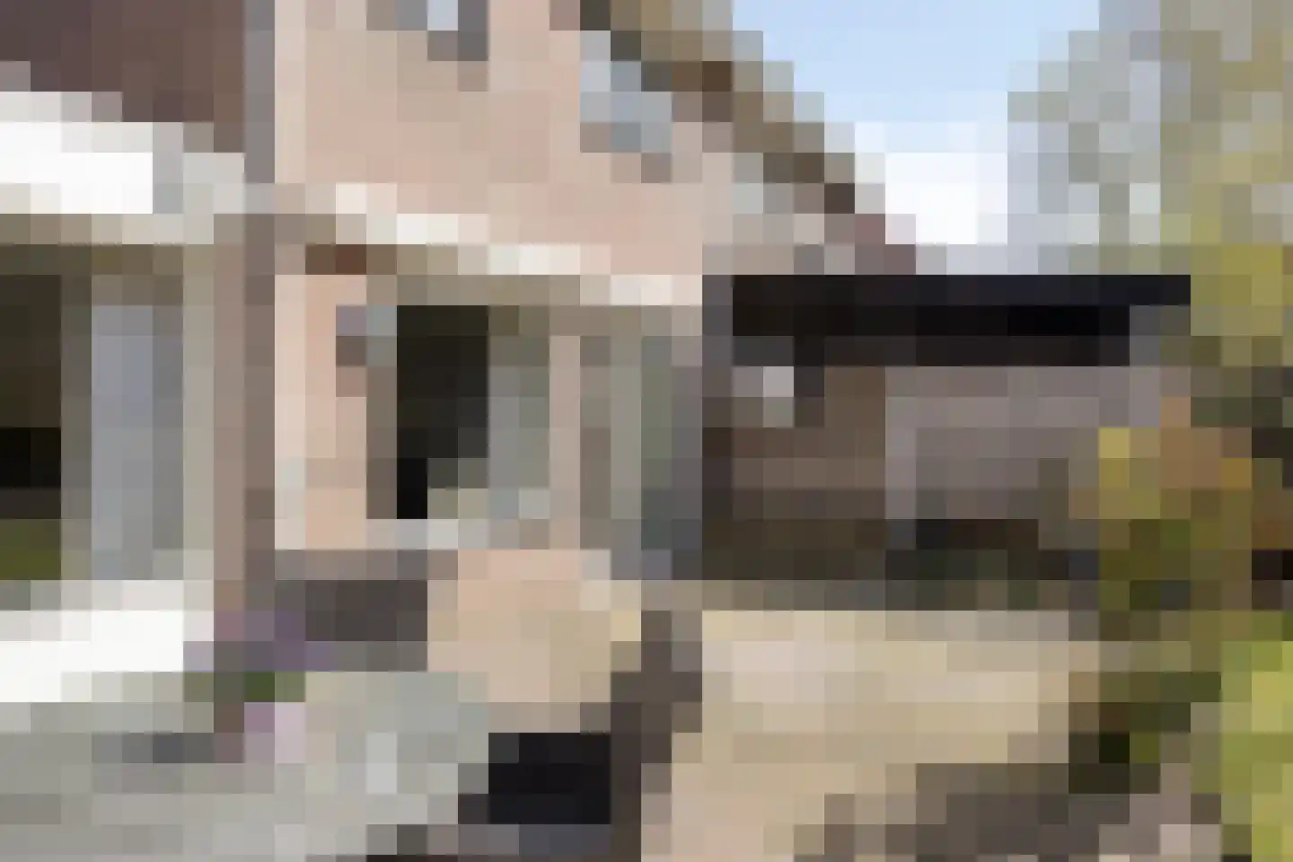 Plataanstraat 6 Hengelo thumbnail 31
