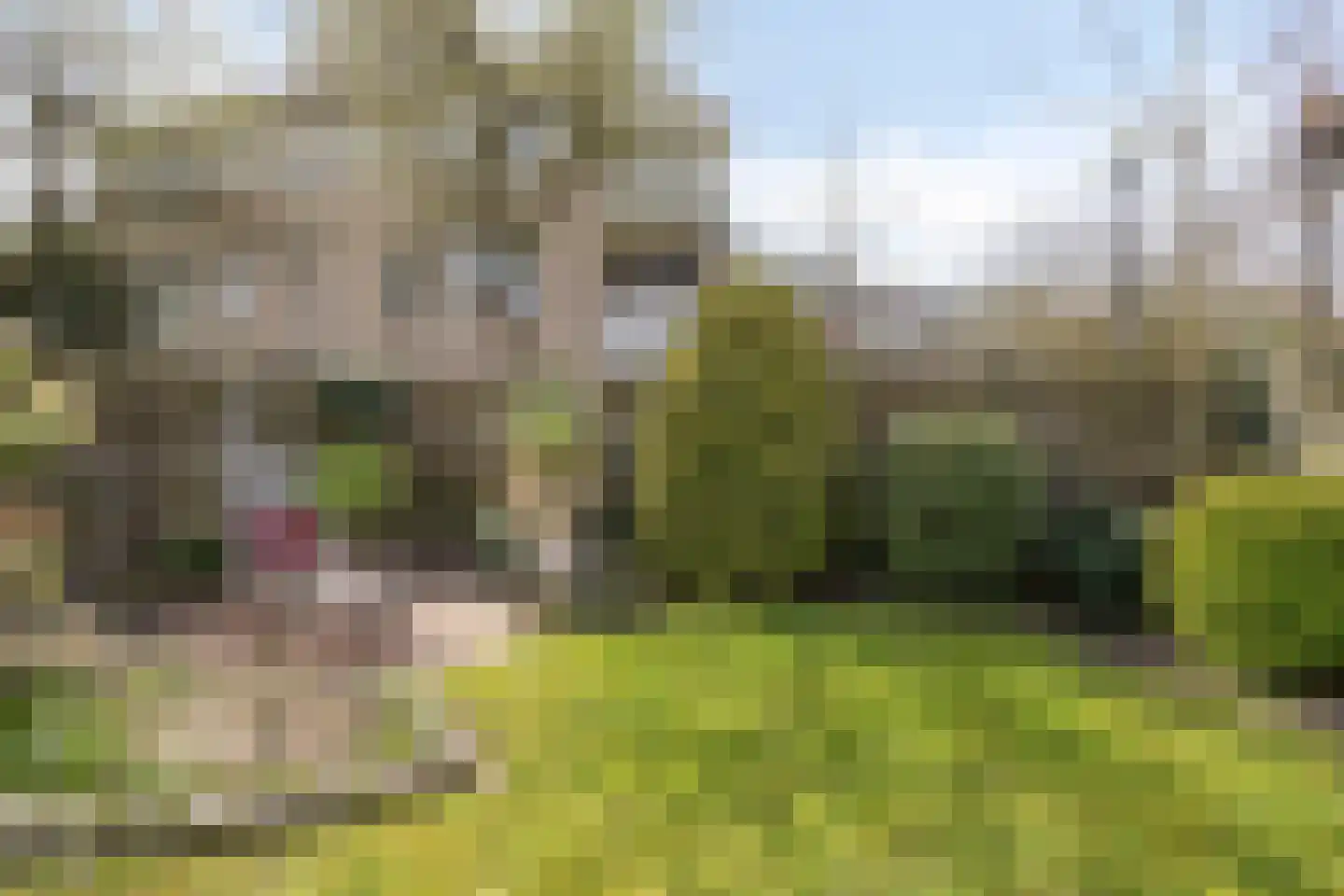 Plataanstraat 6 Hengelo thumbnail 33