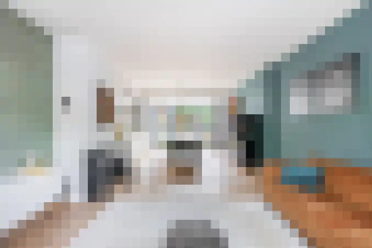Plataanstraat 6 Nuenen thumbnail 24