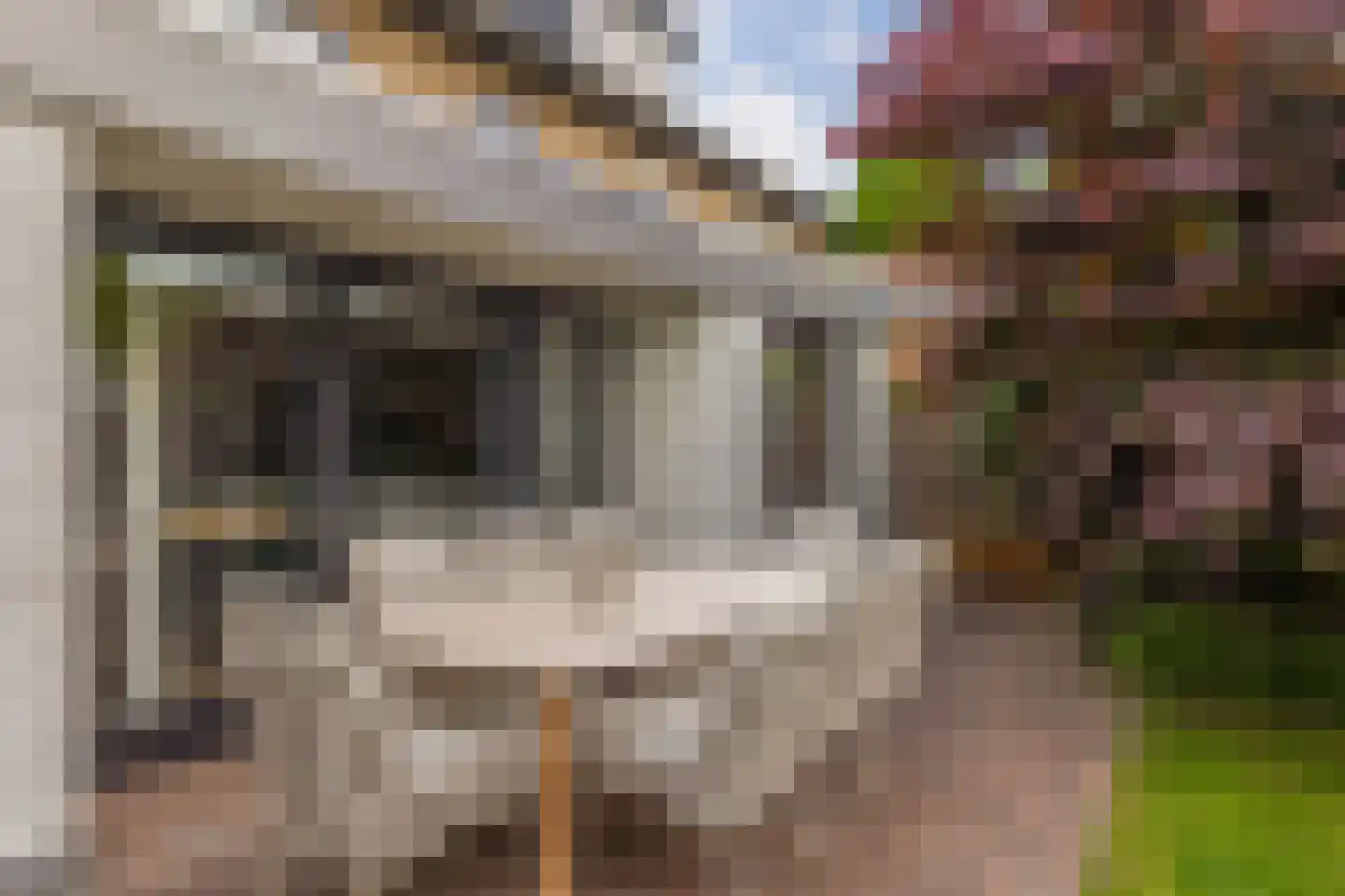Plataanstraat 6 Nuenen thumbnail 43