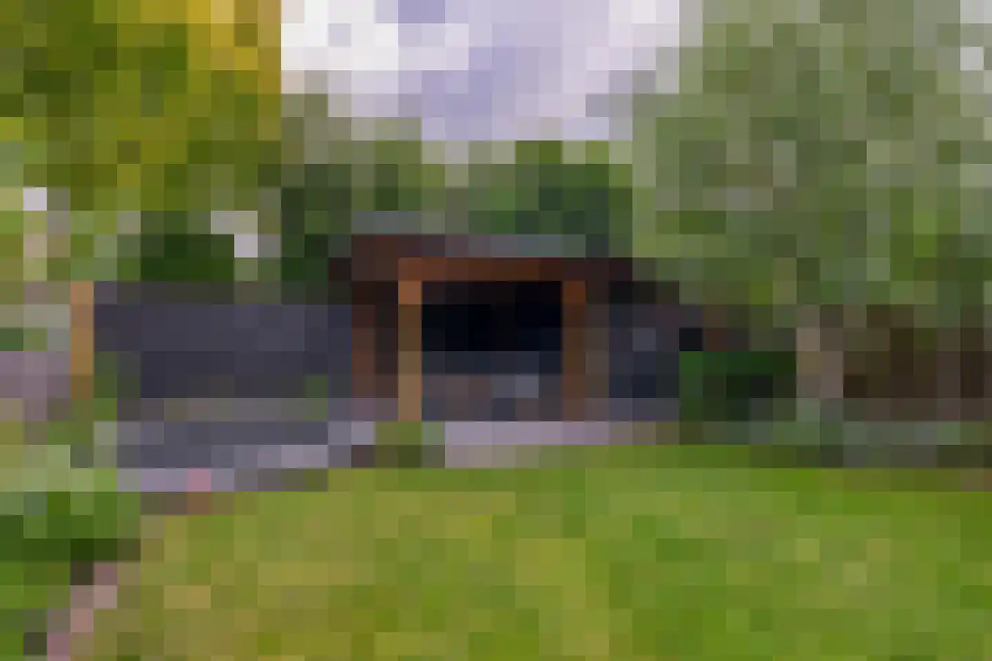 Plataanstraat 6 Nuenen thumbnail 45