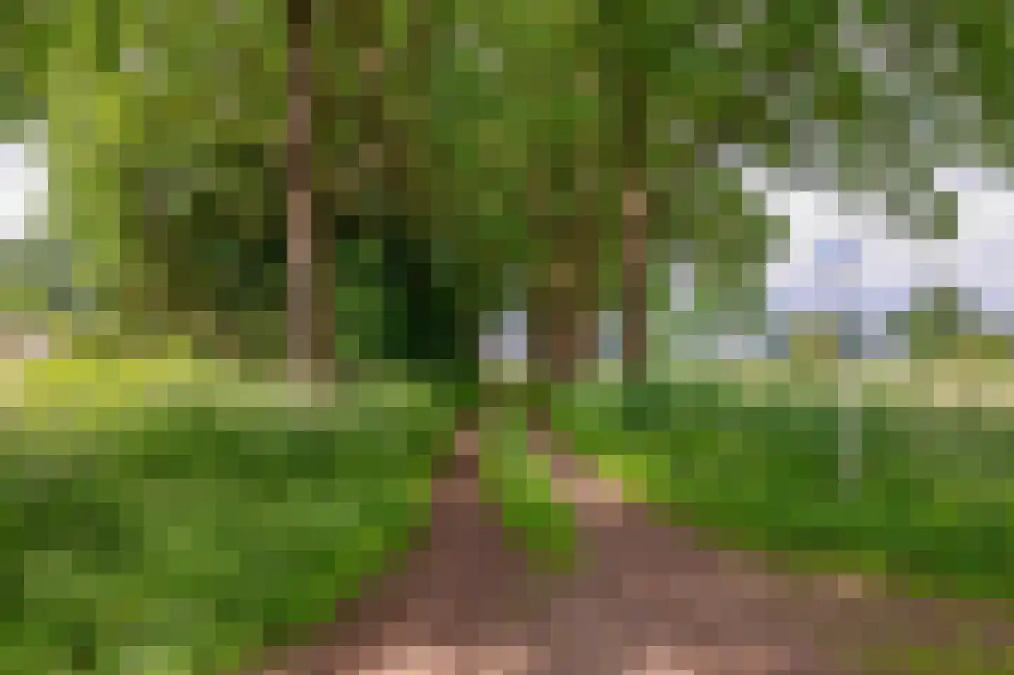 Plataanstraat 6 Nuenen thumbnail 56