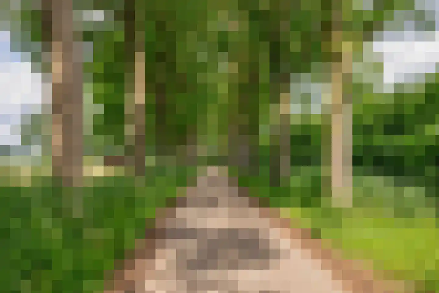 Plataanstraat 6 Nuenen thumbnail 57
